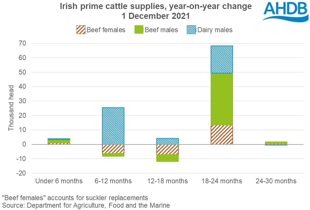 Graph showing year-on-year change in Irish cattle supplies by age at 1 December 2021